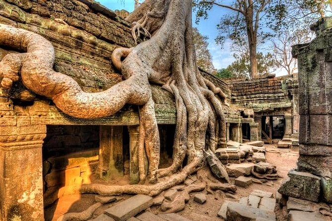 Cambodia Highlight 6 Days Tour from Siem Reap to Phnom Penh - Guides, drivers, and the value of a private vehicle