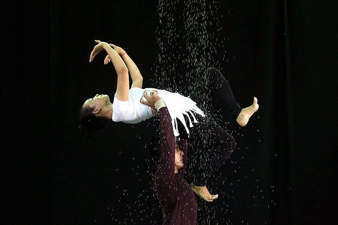 Cambodian Circus Show in Siem Reap by Phare with Hotel Pick-Up - The performers and the purpose behind the stage