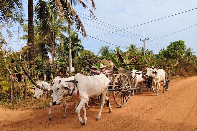 Cambodian Cooking Class and Oxcart Ride with Local Village Tour - Timing, group size, and practical planning