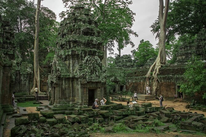 Classic Angkor Wat Sunrise Full Day Private Guide Tour - Ta Prohm and the famous tree roots