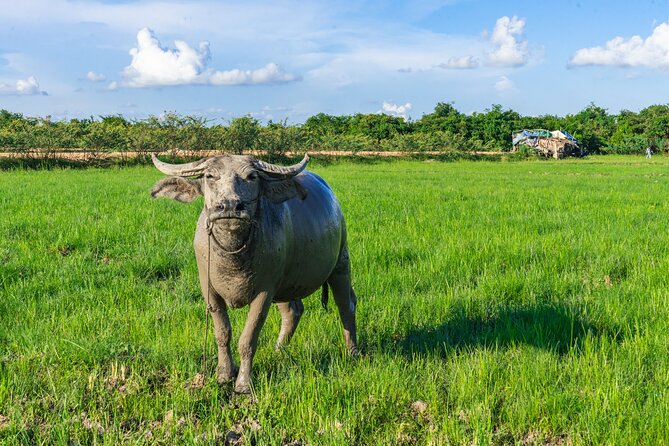 Countryside Sunset Jeep Tour with Drinks included - Who will enjoy this jeep tour most