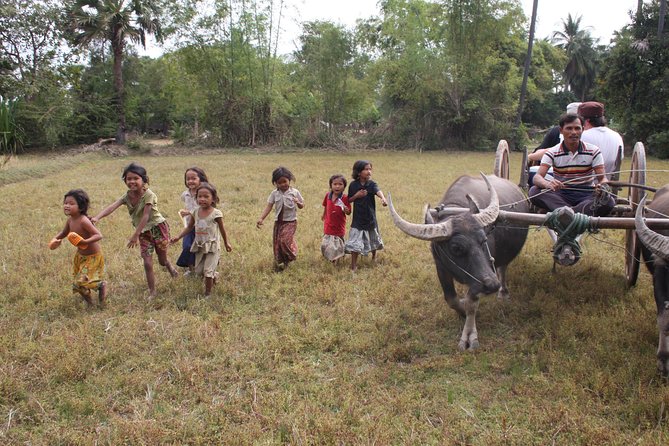 Day in a Life Authentic Village Experience in Siem Reap - Rice fields, palm roofs, and work that changes by season