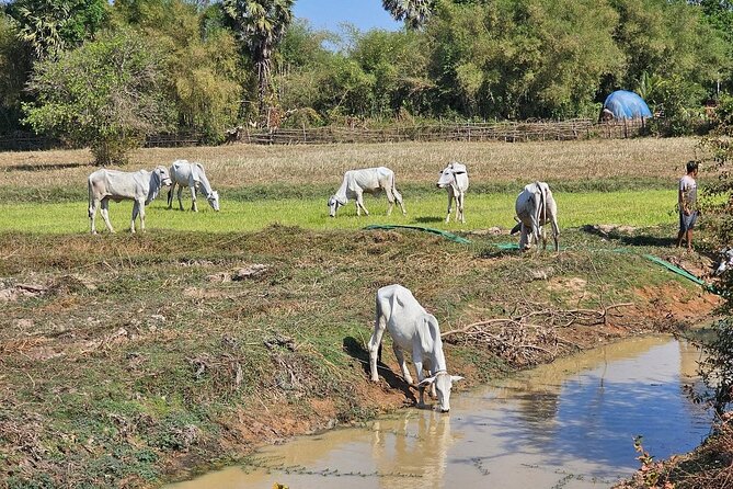 East Corner of Siem Reap - Roluos Group & Countryside - Preah Ko, where the Roluos story begins