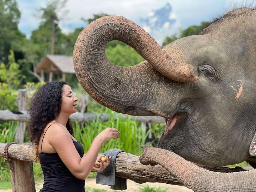 Elephant Sanctuary Cambodia, Pickup and drop off included - Key points at a glance