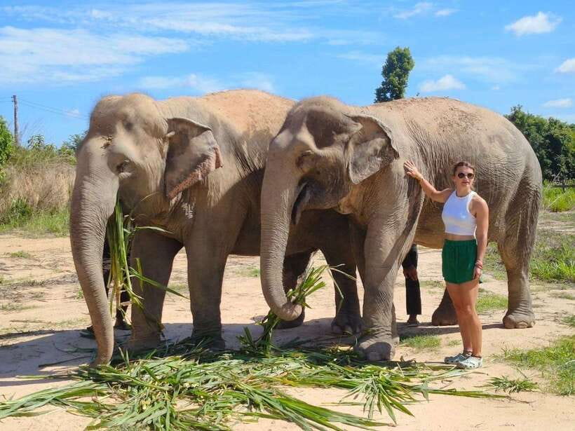 Elephant Sanctuary Cambodia, Pickup and drop off included - What to wear and bring