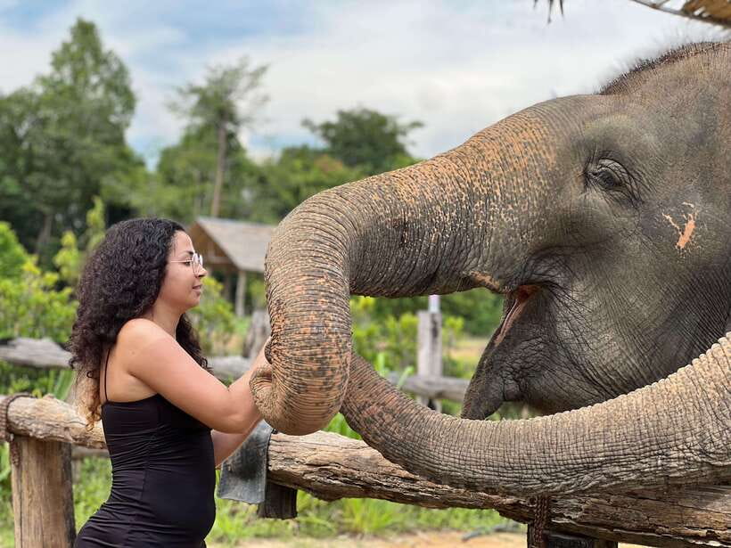 Elephant Sanctuary Cambodia, Pickup and drop off included - Meeting rescued elephants outside Siem Reap