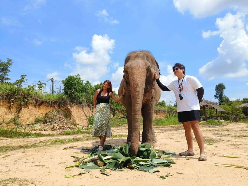 Elephant Sanctuary Cambodia, Pickup and drop off included - Fruit, coffee, and the ride back to Siem Reap