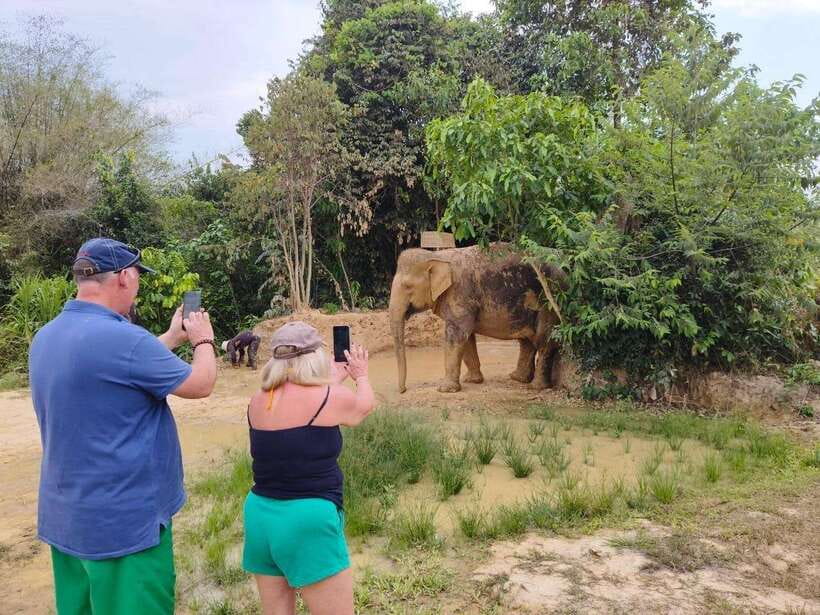 Elephant Sanctuary Cambodia, Pickup and drop off included - Is $58 a fair price?