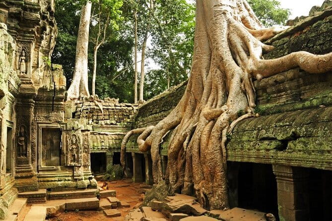 Exclusive Angkor temples and Small group temples tours - Starting at Angkor Thom’s South Gate
