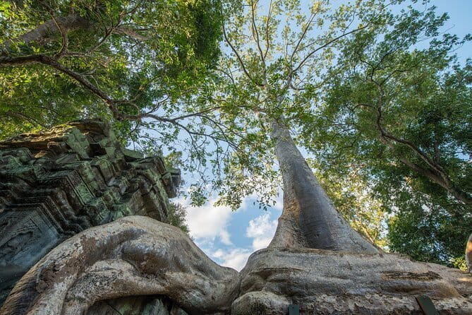 Exclusive Angkor temples and Small group temples tours - The Terrace of the Elephants and the Leper King