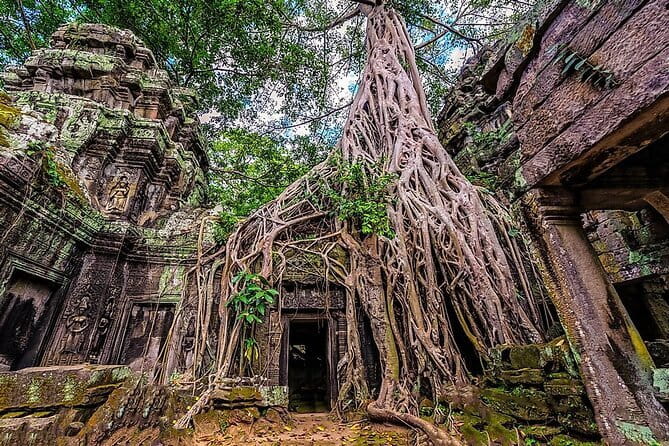Explore Angkor Sunrise Spectacle a Full Day Temples Tour - What the $45 price really covers