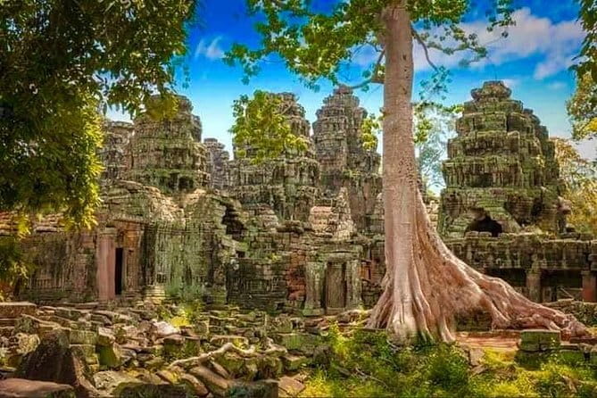 Explore Angkor Wat Sunrise Small Tour Private VIP Car - Ta Prohm and the smaller temples on the way