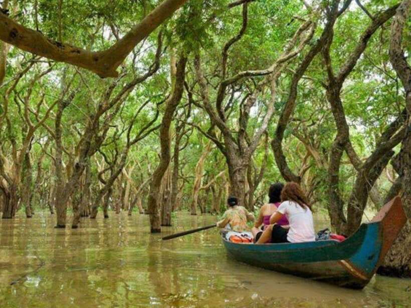 Floating Village-Mangroves Forest Tonle Sap Lake Boat Tour - Key points to know before booking