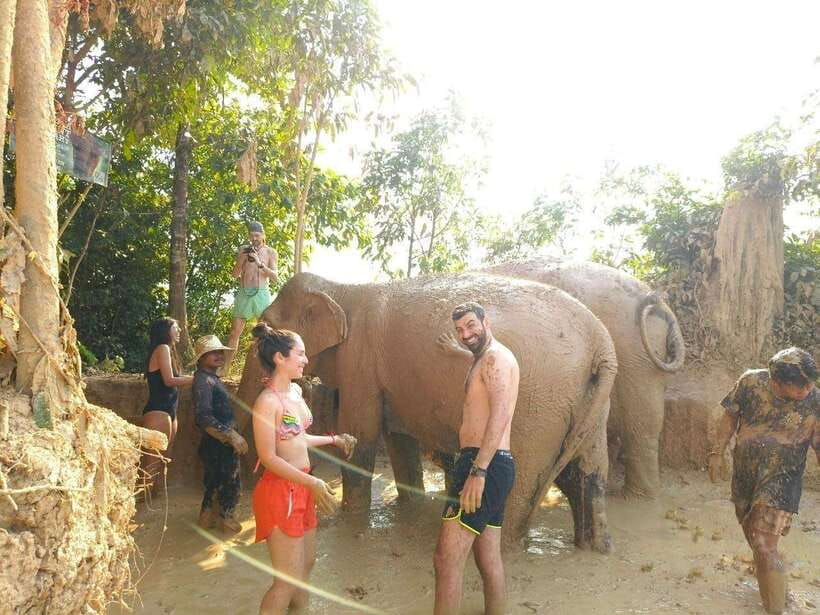 From Siem Reap: Elephant Sanctuary Experience with Transfers - Key points before you book