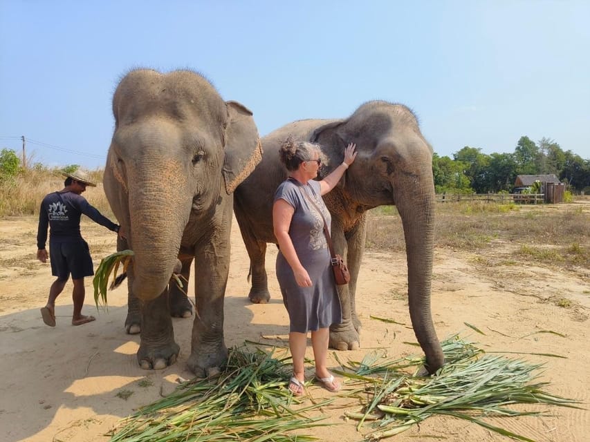From Siem Reap: Elephant Sanctuary Experience with Transfers - Bathing in the creek or river
