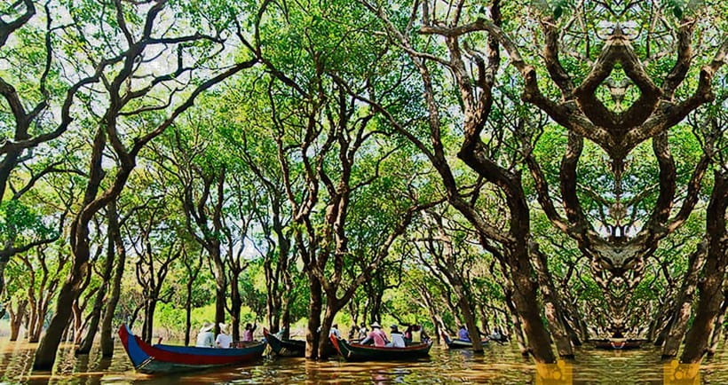 From Siem Reap: Floating Village Tour by Boat - The small floating café and an important timing check