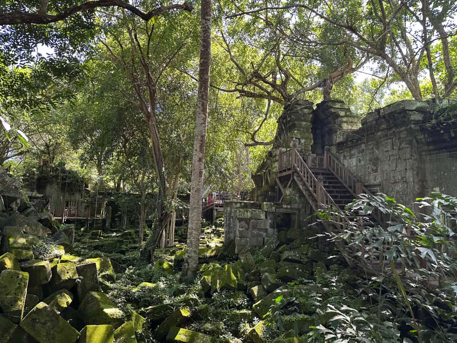 From Siem Reap: Half-Day Tour to Beng Mealea Temple - What your guide adds inside the temple