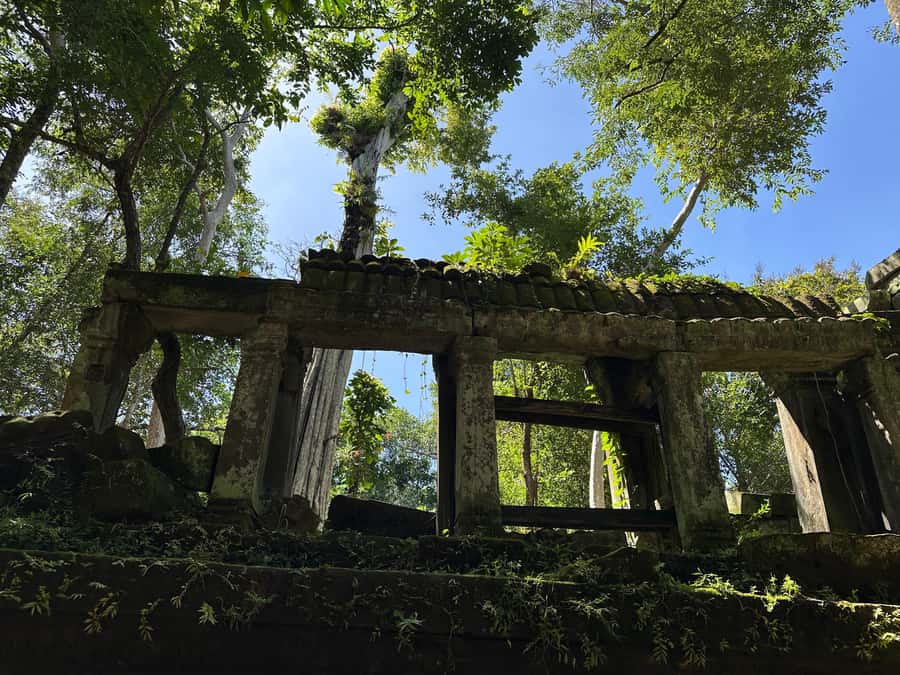 From Siem Reap: Half-Day Tour to Beng Mealea Temple - Morning or afternoon: which departure fits better?