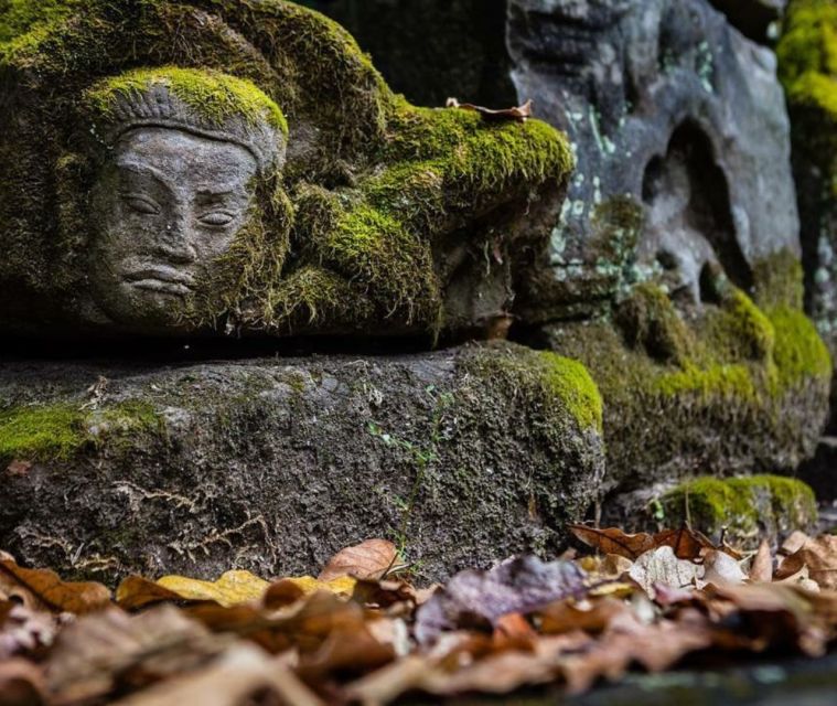 Full-Day Explore Angkor Temples Sunset Tour (with Lunch) - Ta Prohm has the most dramatic setting