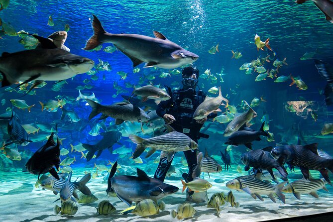 Full Day Pass Angkor Wildlife and Aquarium - Siem Reap - Key points at a glance