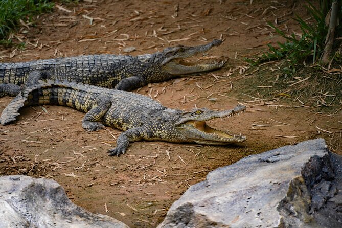 Full Day Pass Angkor Wildlife and Aquarium - Siem Reap - Moving from Tonle Sap to the Ocean Aquarium