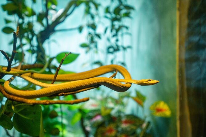 Full Day Pass Angkor Wildlife and Aquarium - Siem Reap - Meeting tigers, crocodiles, otters, and sun bears