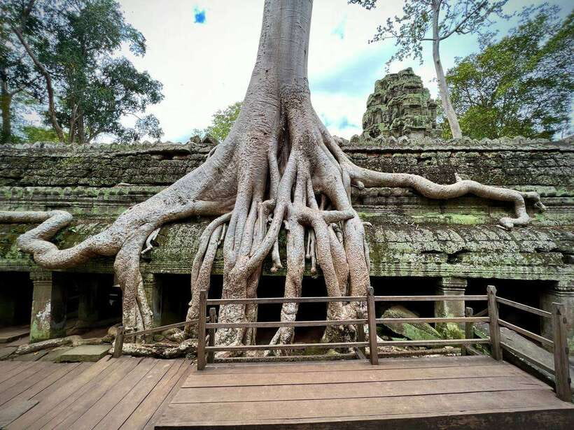 Full Day Private of Angkor Wat Tour with Tuk Tuk - The Terrace of the Elephants and a royal viewing platform