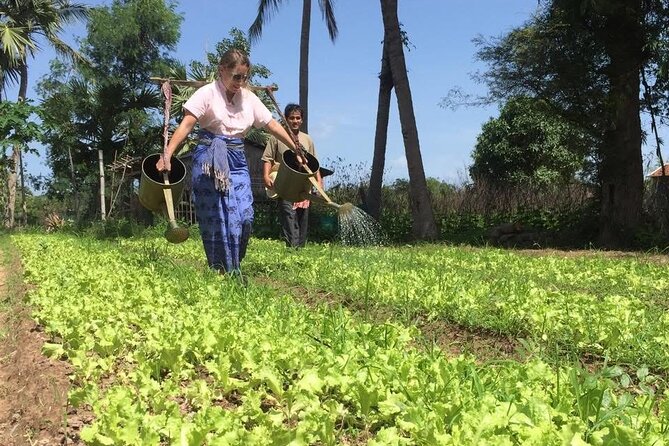 Full Day Siem Reap Farm Tour with Cooking Class and Monk Blessing - Key points to know before booking