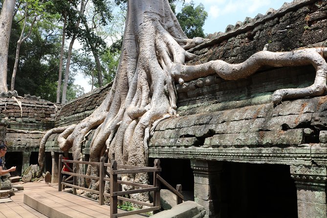 Full Day Temples Explorer - Small Group - What the $19 price really buys you