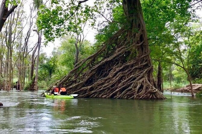 Full Day Tour from Siem Reap - Bamboo Train, Killing Cave & Sunset - Watching the bat flight at about 5 p.m.