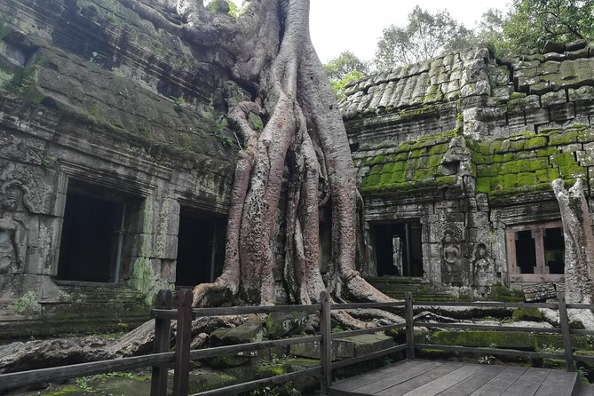 Half Day Angkor Wat Sunrise Private Tour - Why the 4:30 am start is worth considering