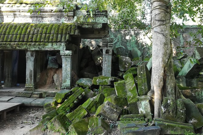 Half Day Angkor Wat Sunrise Private Tour - Ta Prohm around 7:00 am