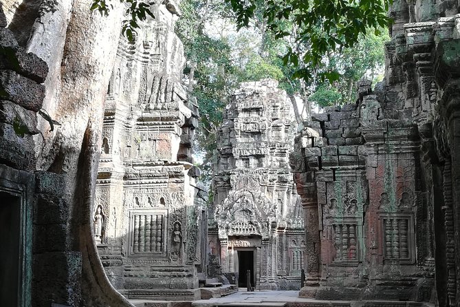 Half Day Angkor Wat Sunrise Private Tour - Bayon and the smiling stone faces