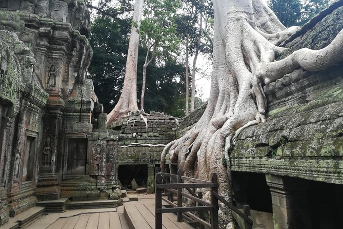 Half Day Angkor Wat Sunrise Private Tour - Angkor Wat after dawn, about four hours