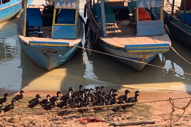 Half Day Floating Village ( Mechrey) & Tole Sap Tour - Is $65 a fair price?