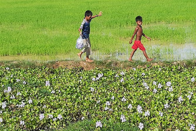 Half Day Floating Village ( Mechrey) & Tole Sap Tour - Timing, comfort, and what to bring