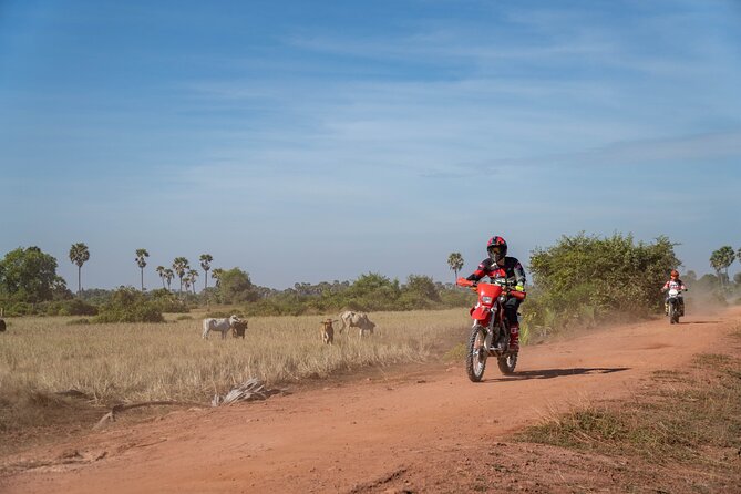 Half Day Siem Reap Off-Road Ride Tour - Finishing among the rice fields at Chreav