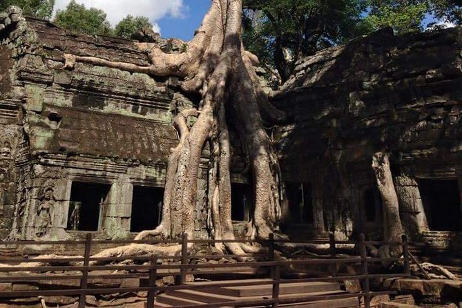 Half-Day Ta Prohm and Banteay Kdei Tour - Why Ta Prohm is the main event