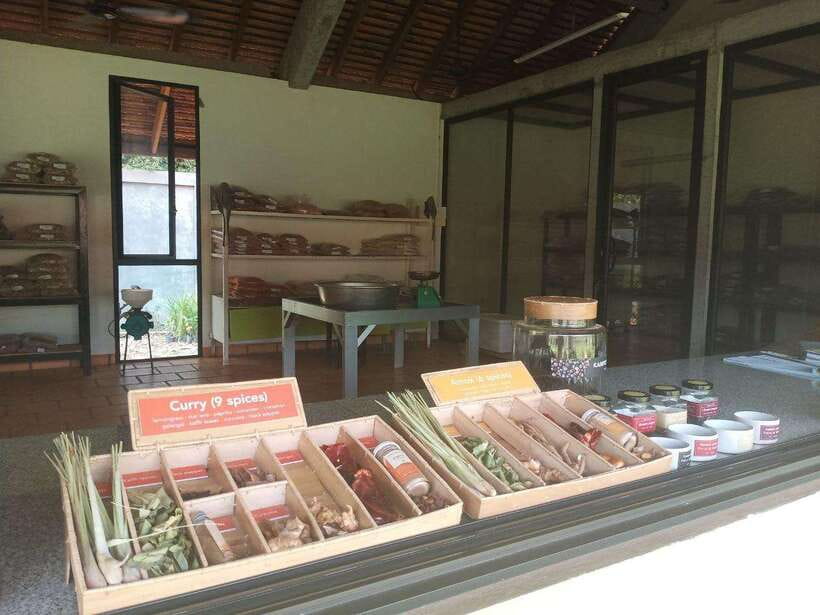 Half Day Trip: Silk Farm, Satcha, and Senteur d'Angkor Tour - Four hours is enough for an overview, not a full apprenticeship
