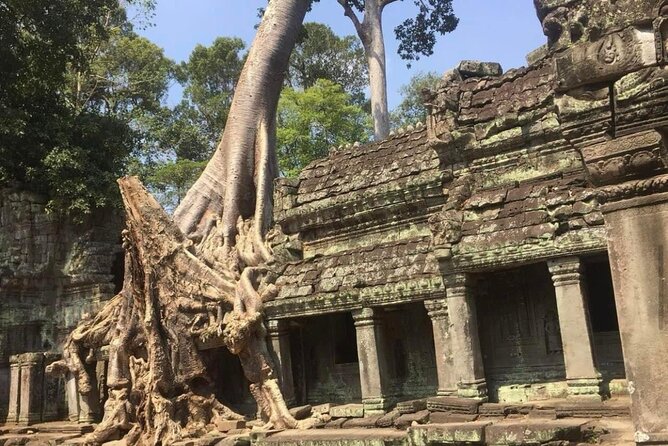 Journey Through Time: Grand Tours with professional photographers - Preah Khan, a royal city in ruins