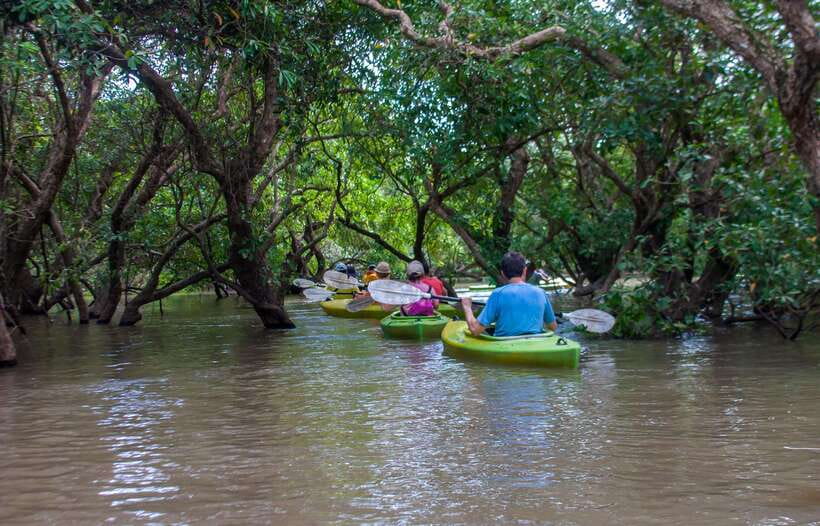 Kayaking & Floating Village in Siem Reap - What the village paddle really offers