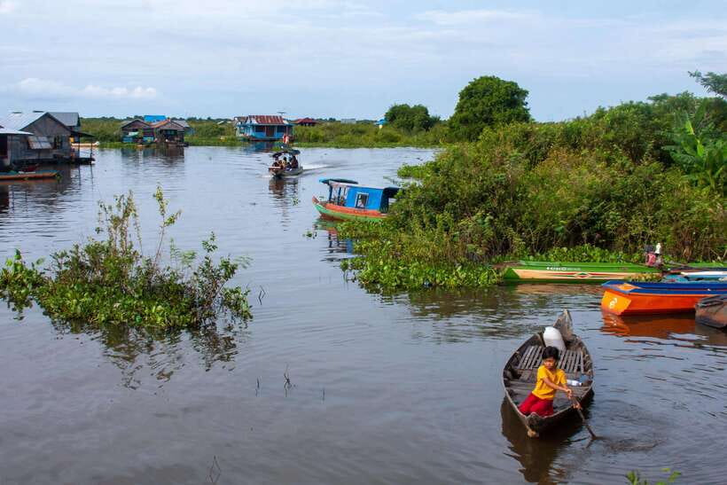Kayaking & Floating Village in Siem Reap - Toward the mangrove forest