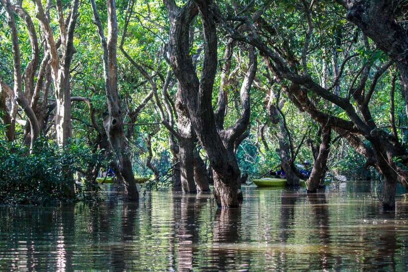 Kayaking & Floating Village in Siem Reap - How much kayaking will you get?