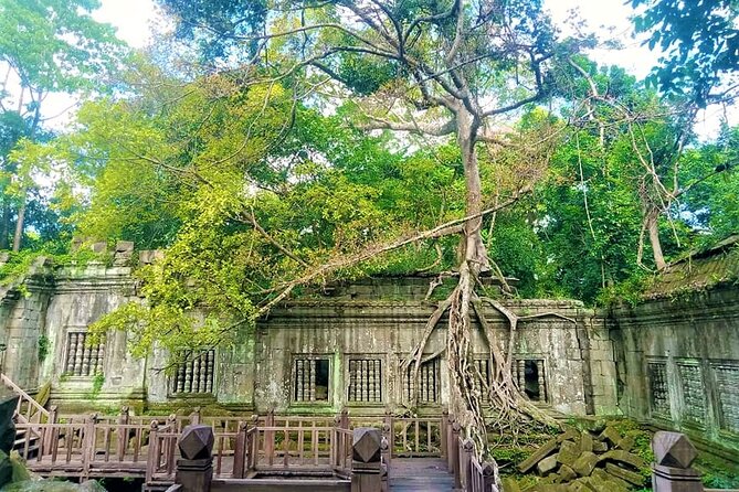 Koh Ker & Beng Mealea Temple Full-Day Private Tour from Siem Reap - Beng Mealea, where the temple feels unfinished