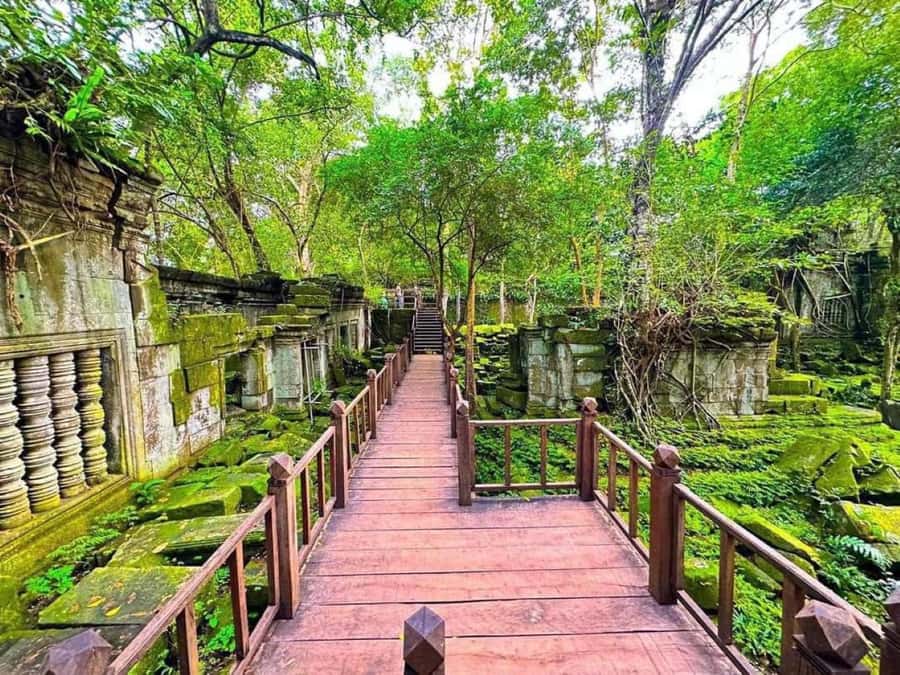 Koh Ker & Beng Mealea Temple Guided Tour - The Cambodian countryside is part of the tour