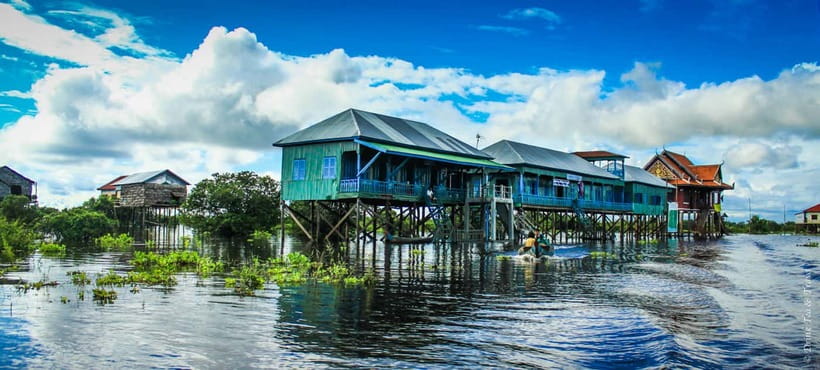Kompong Phluk Floating Village Tour from Siem Reap - Rowing through the flooded forest