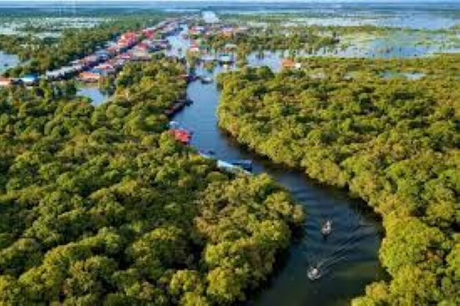 Kompong Phluk Village Tonle Sap Lake Half-Day Tour From Siem Reap - Through the flooded forest