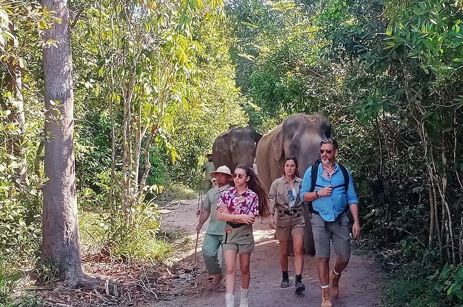 Kulen Elephant Forest and Tonle Sap Lake by Private Tour - Who should book this day?