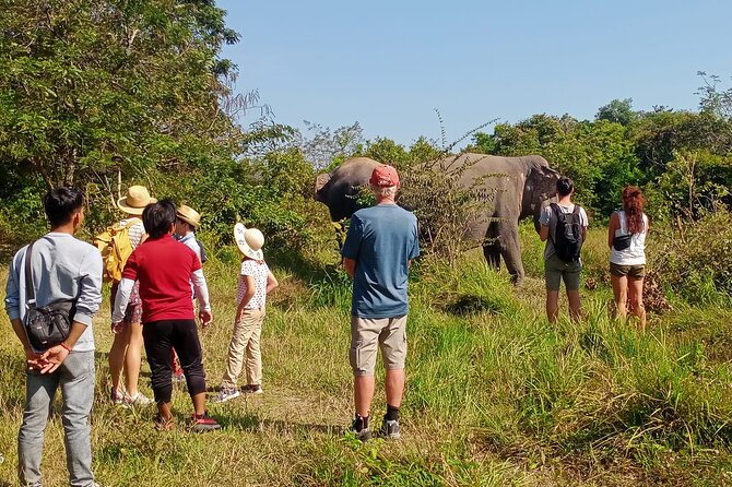 Kulen Elephant Forest and Tonle Sap Lake by Private Tour - From Siem Reap to Phnom Kulen National Park
