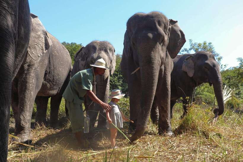 Kulen Elephant Forest Siem Reap in Small Group - Lunch, snacks, and the end of the visit